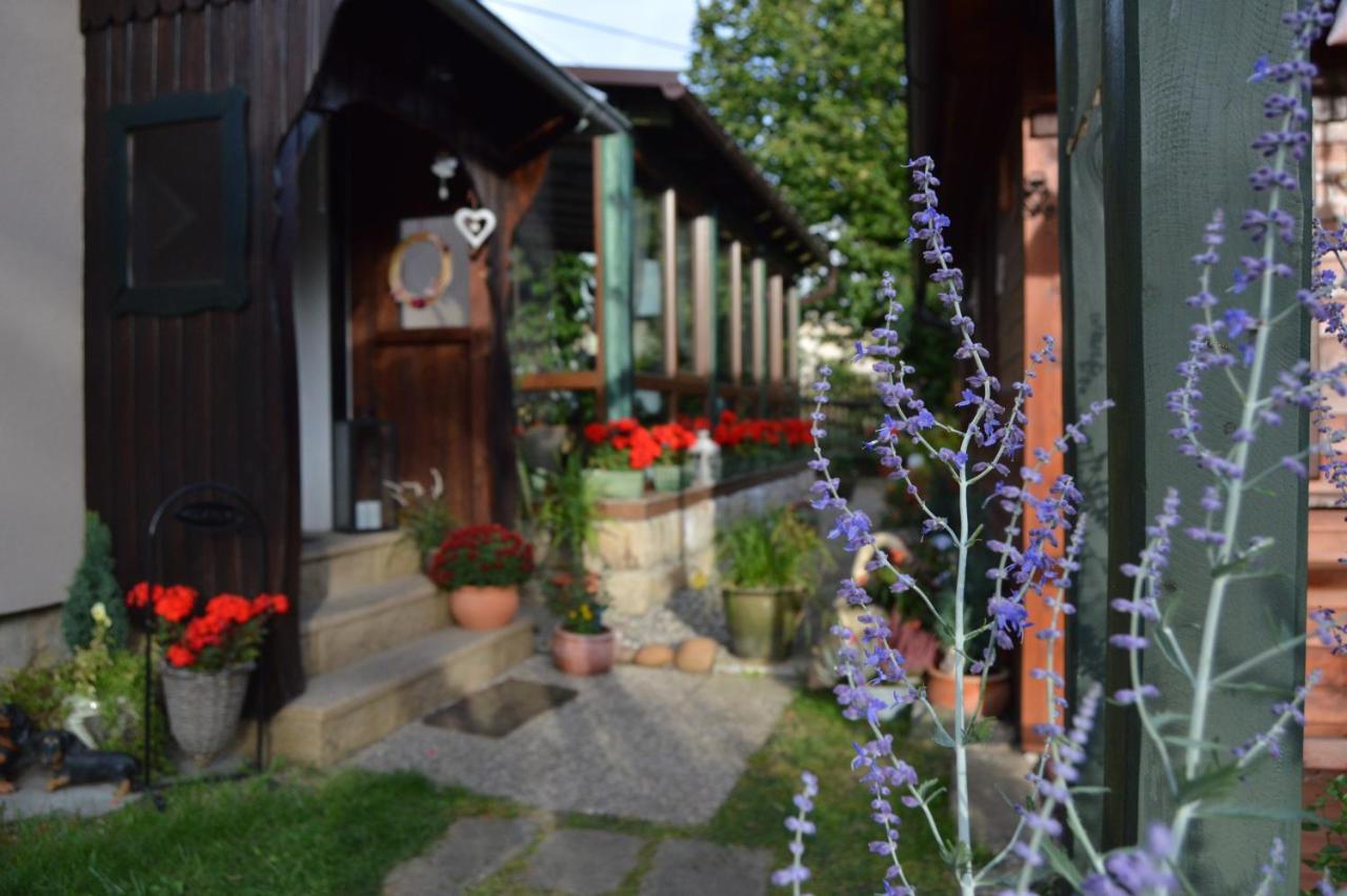 Penzion Pod Rozhlednou Янов Экстерьер фото