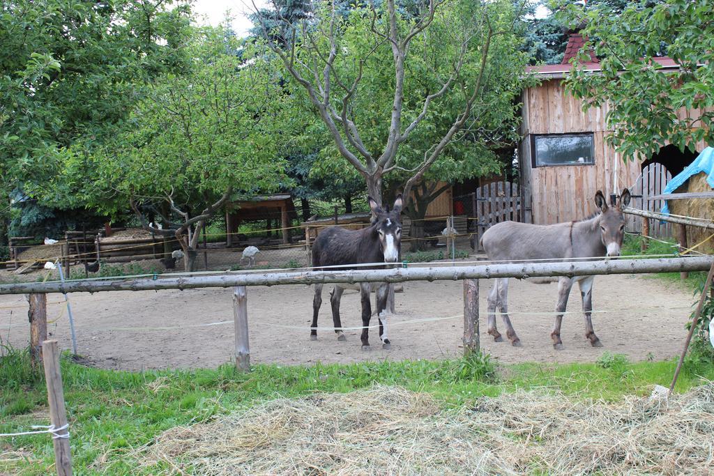 Penzion Pod Rozhlednou Янов Экстерьер фото